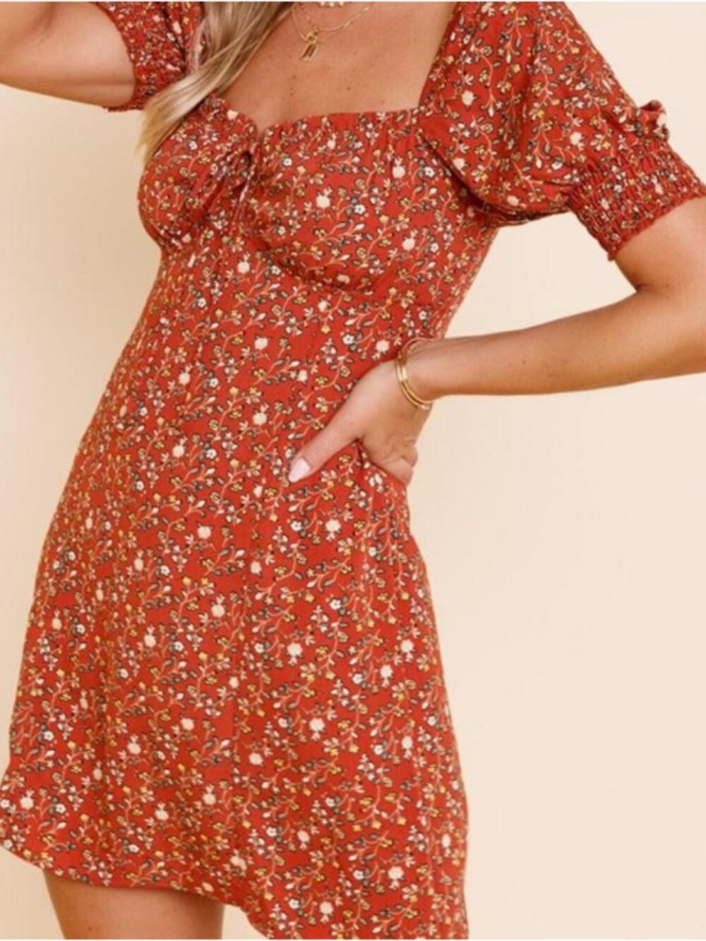 Francesca’s Trixxi ‘Ashten Floral Bustier Mini Swing Dress’